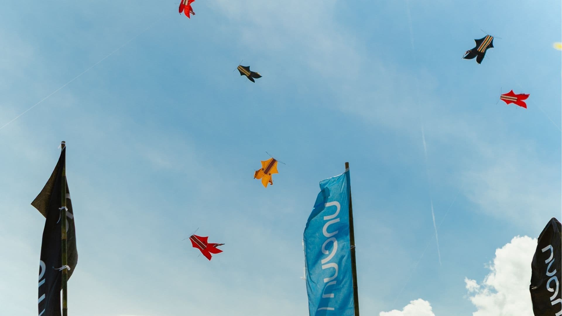 Nuanu Kite Fest